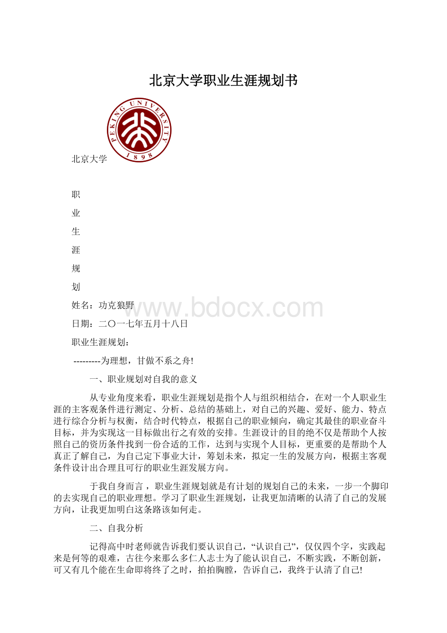 北京大学职业生涯规划书.docx_第1页