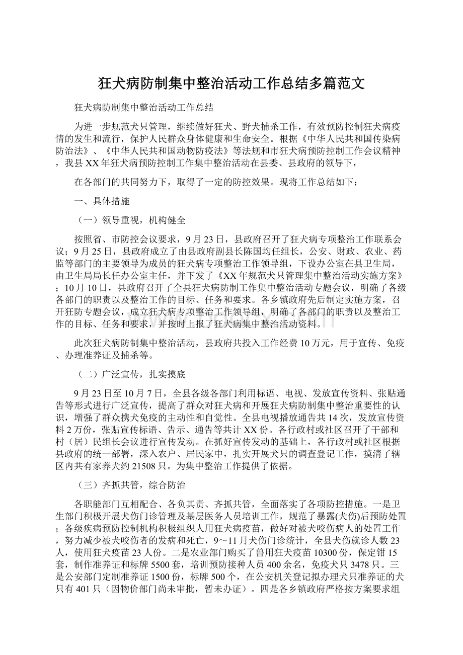 狂犬病防制集中整治活动工作总结多篇范文Word格式.docx