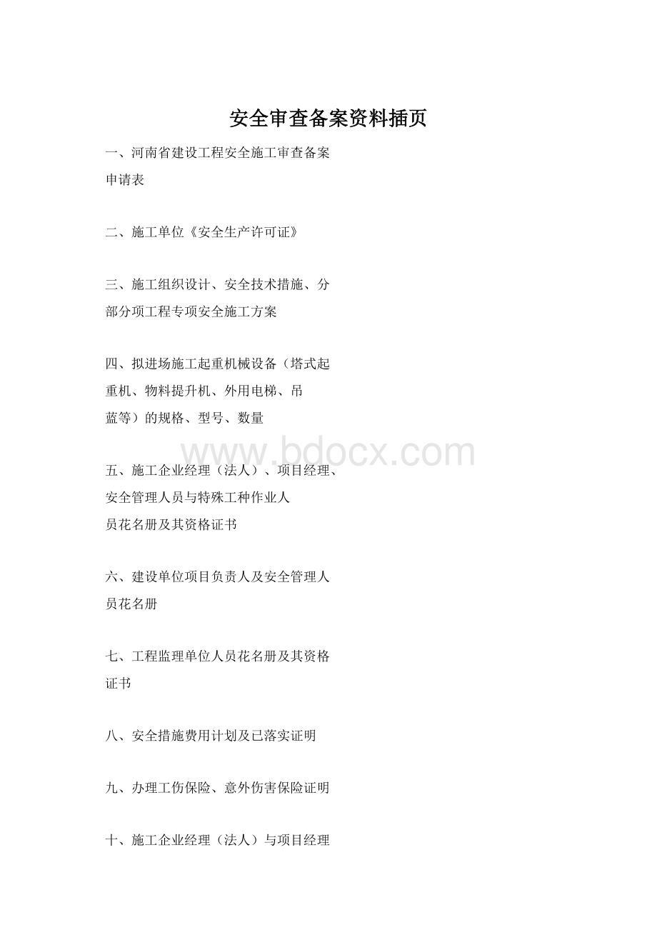 安全审查备案资料插页文档格式.docx_第1页