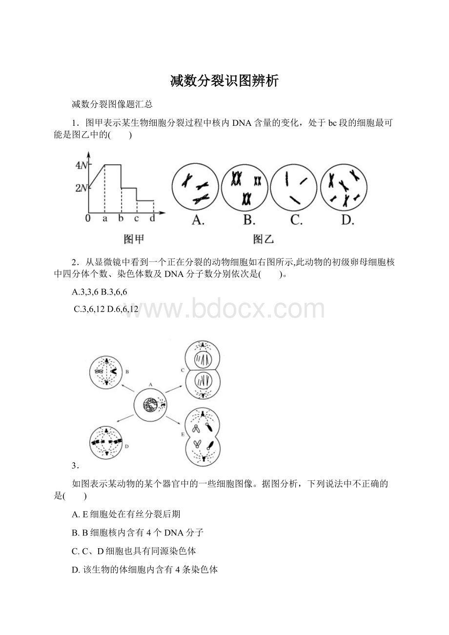 减数分裂识图辨析.docx_第1页