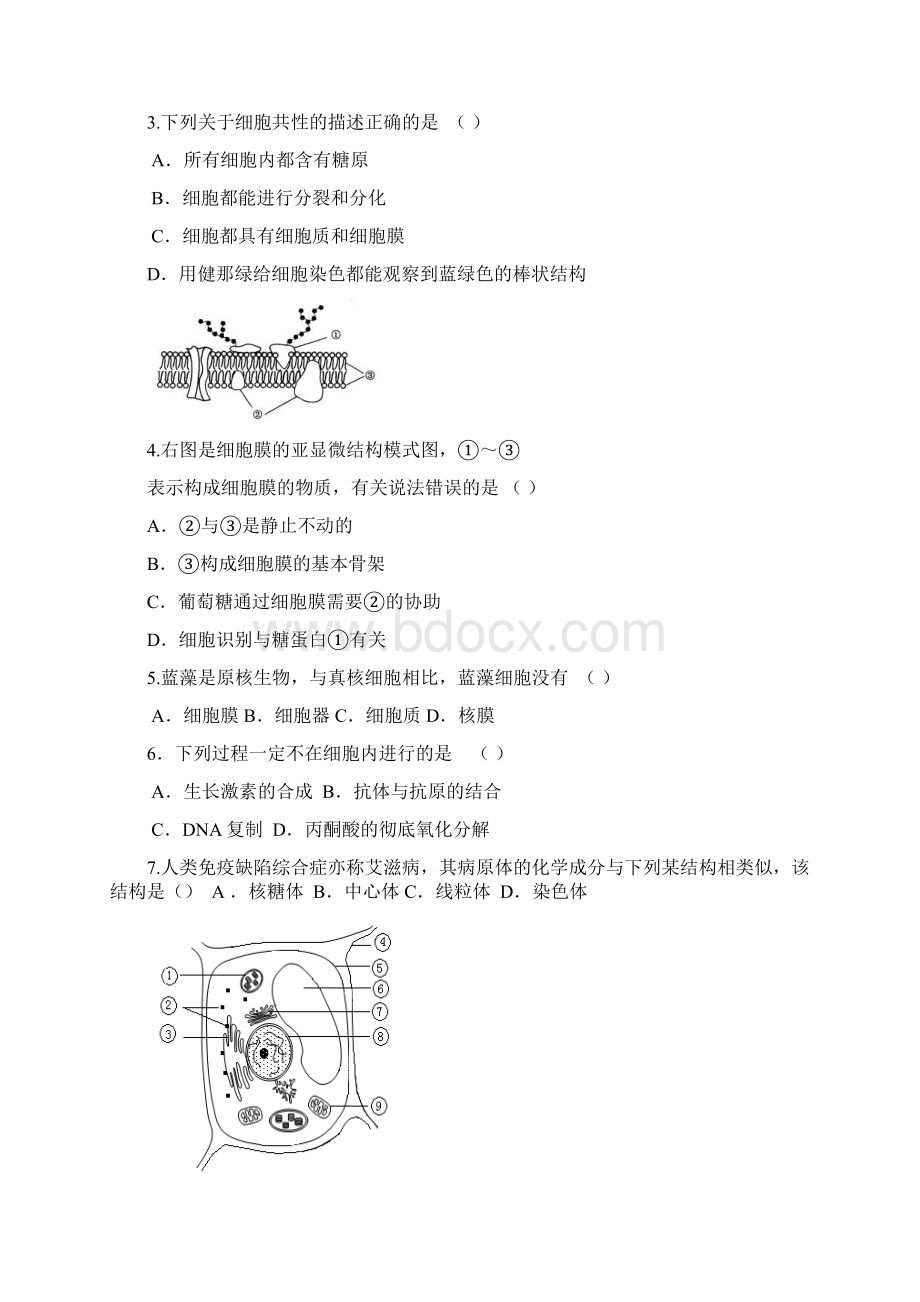 生物20分钟专题突破.docx_第3页