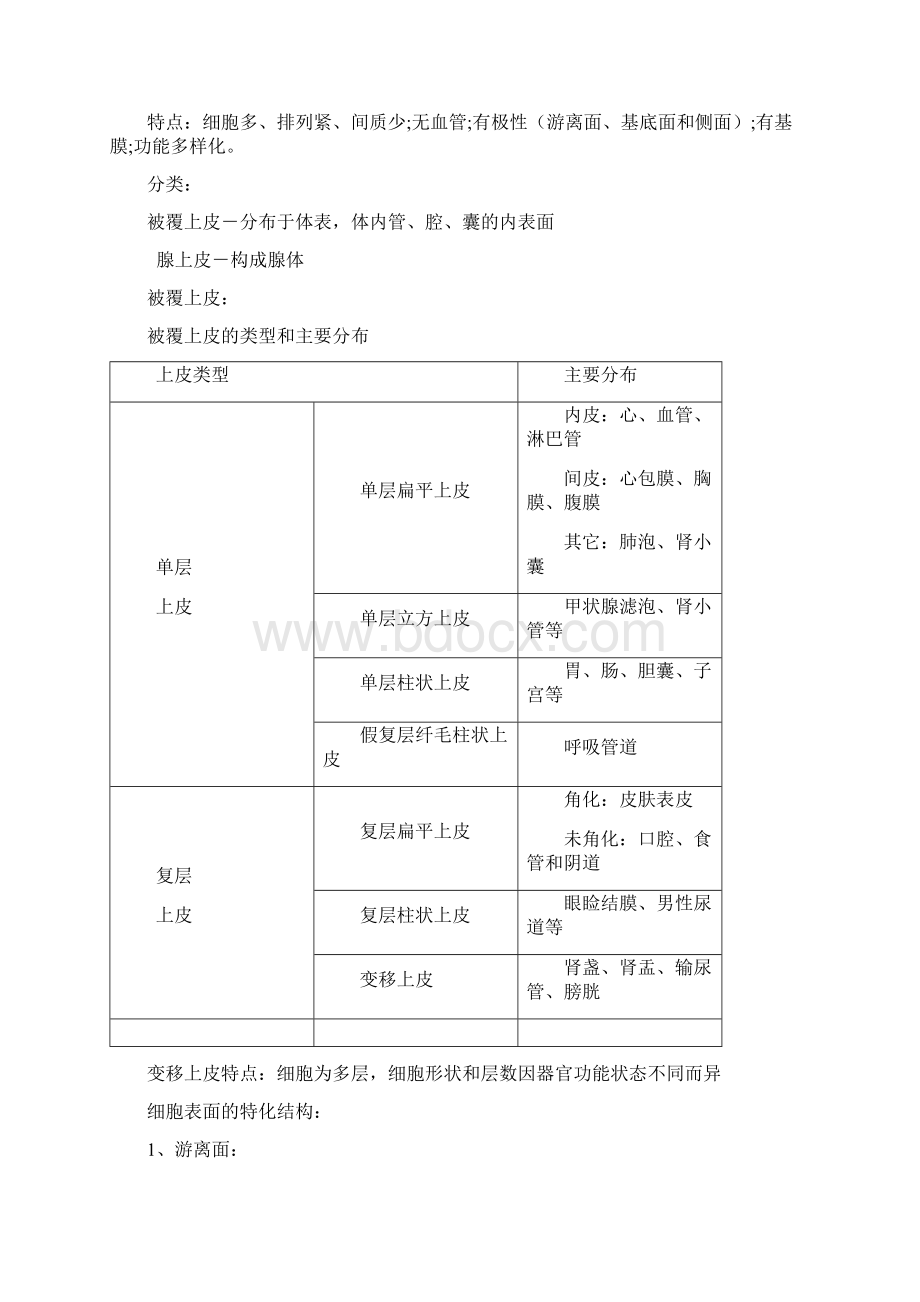 组胚知识点.docx_第2页