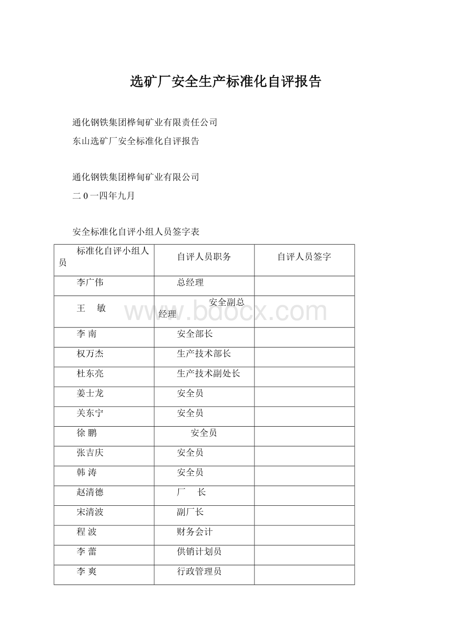 选矿厂安全生产标准化自评报告.docx_第1页