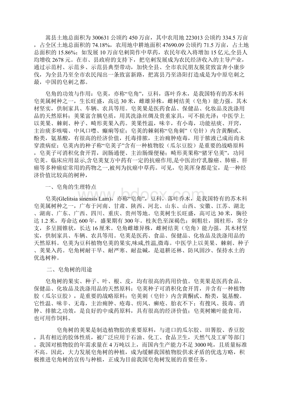 皂角刺中药材小县镇三年细化建设规划方案.docx_第2页