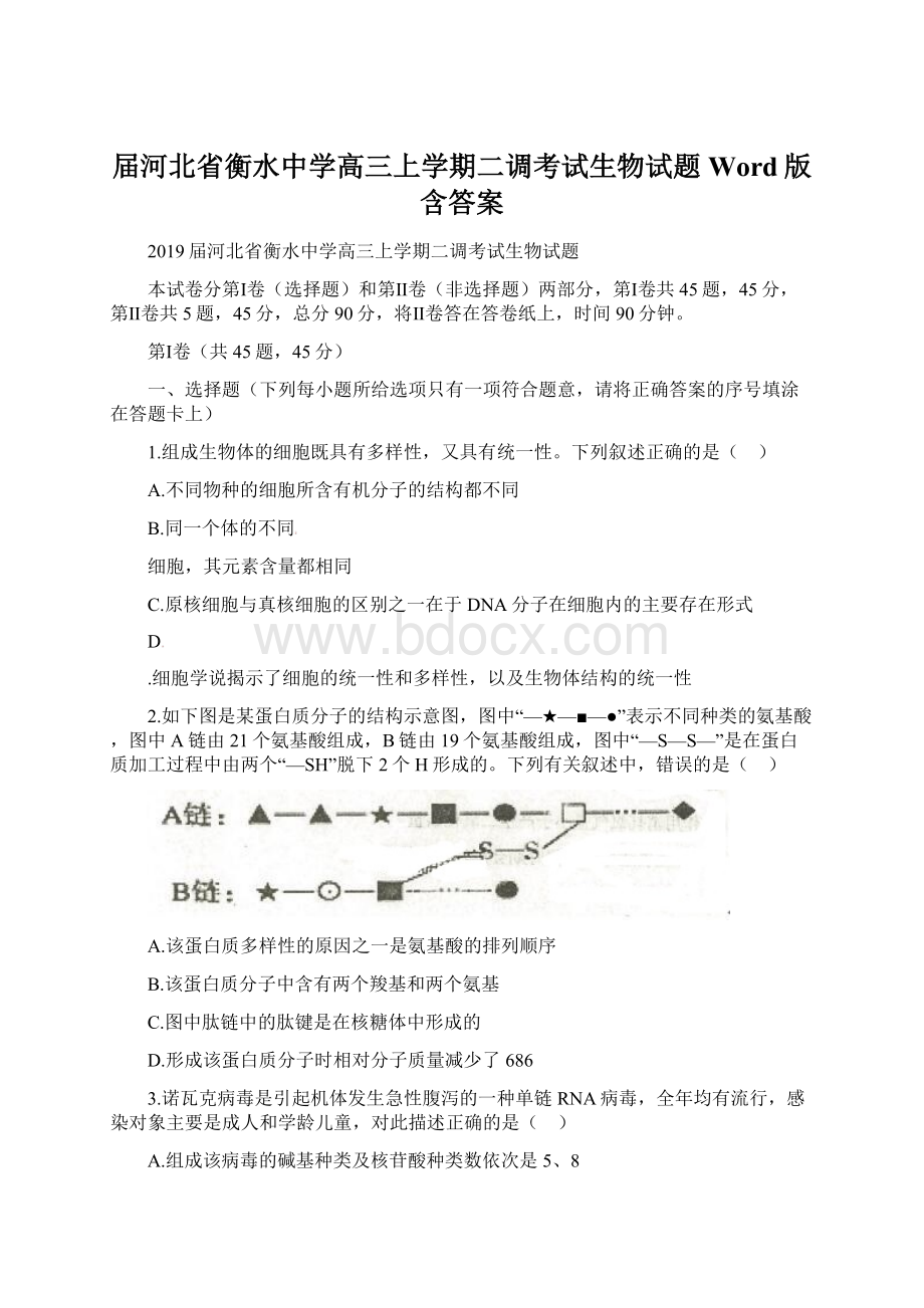 届河北省衡水中学高三上学期二调考试生物试题Word版含答案.docx