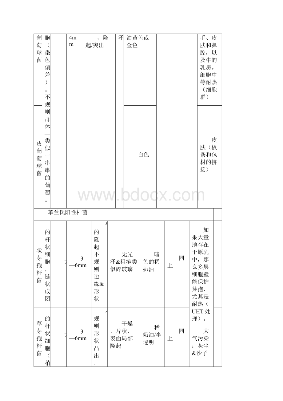 细菌鉴定总结表.docx_第2页