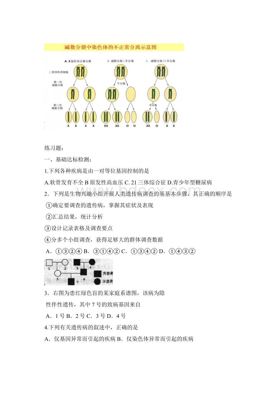 第五章 第三节人类遗传病复习知识点Word格式文档下载.docx_第2页