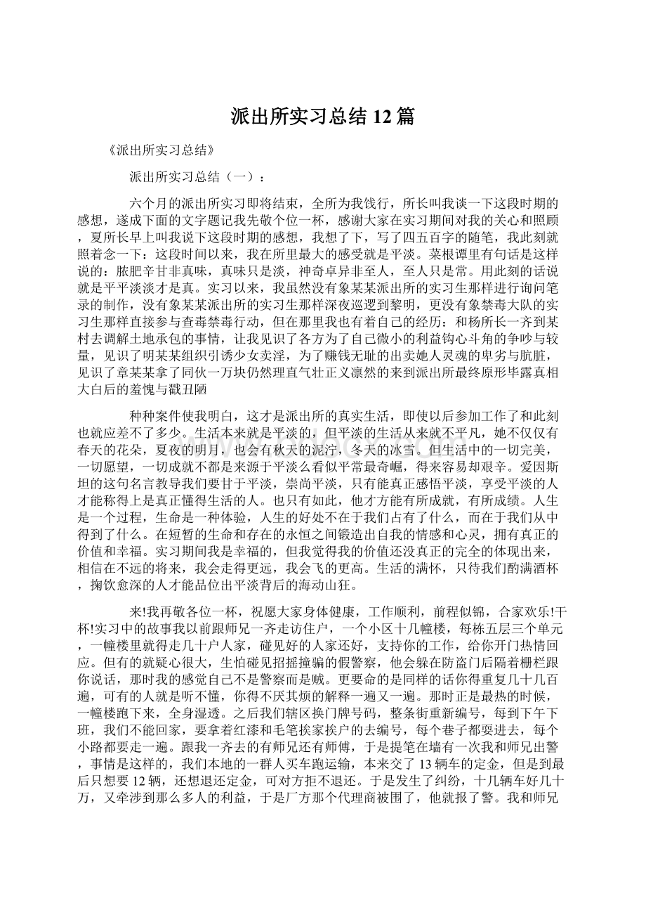 派出所实习总结12篇Word下载.docx_第1页