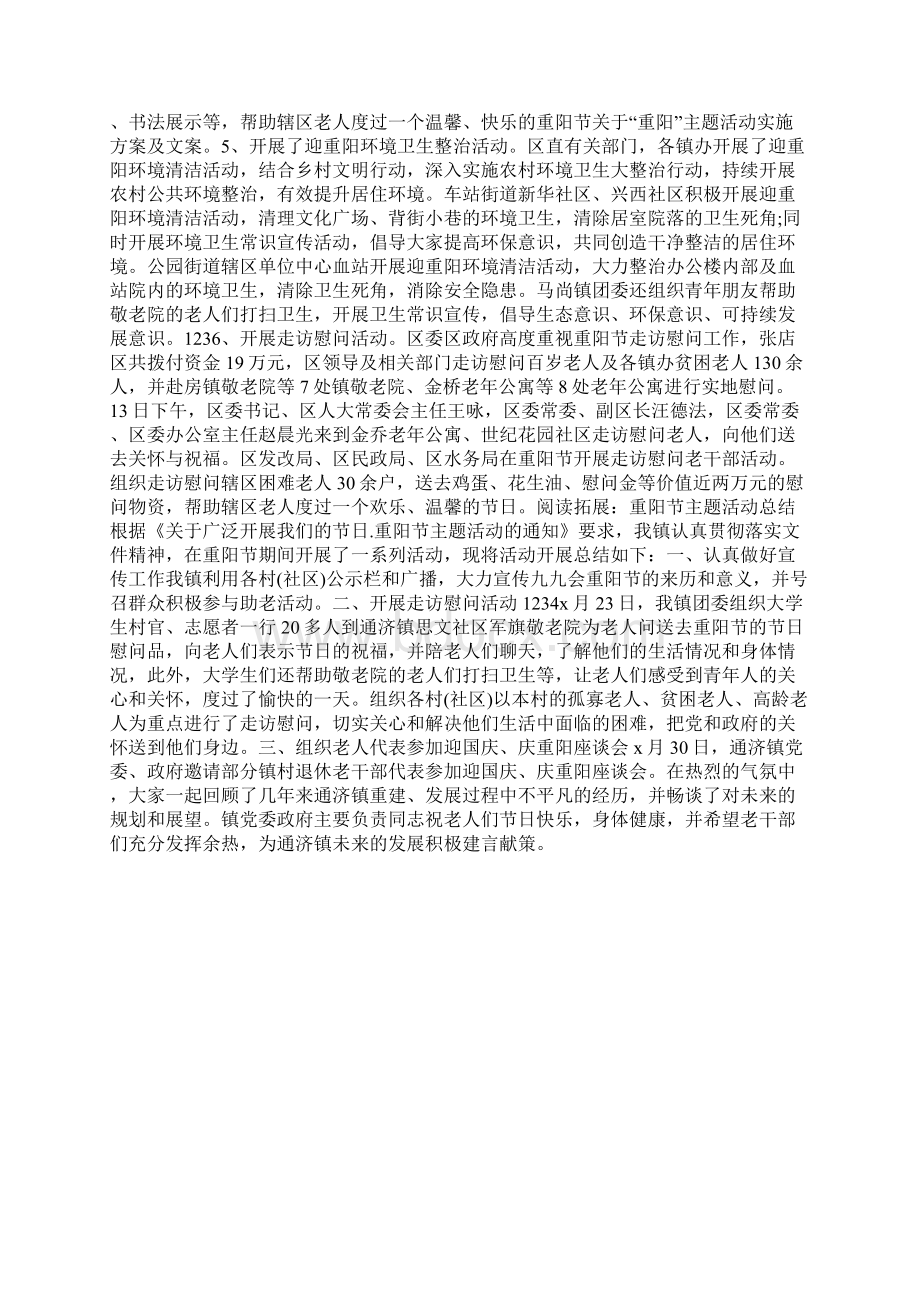 关于重阳主题活动实施方案及文案.docx_第3页