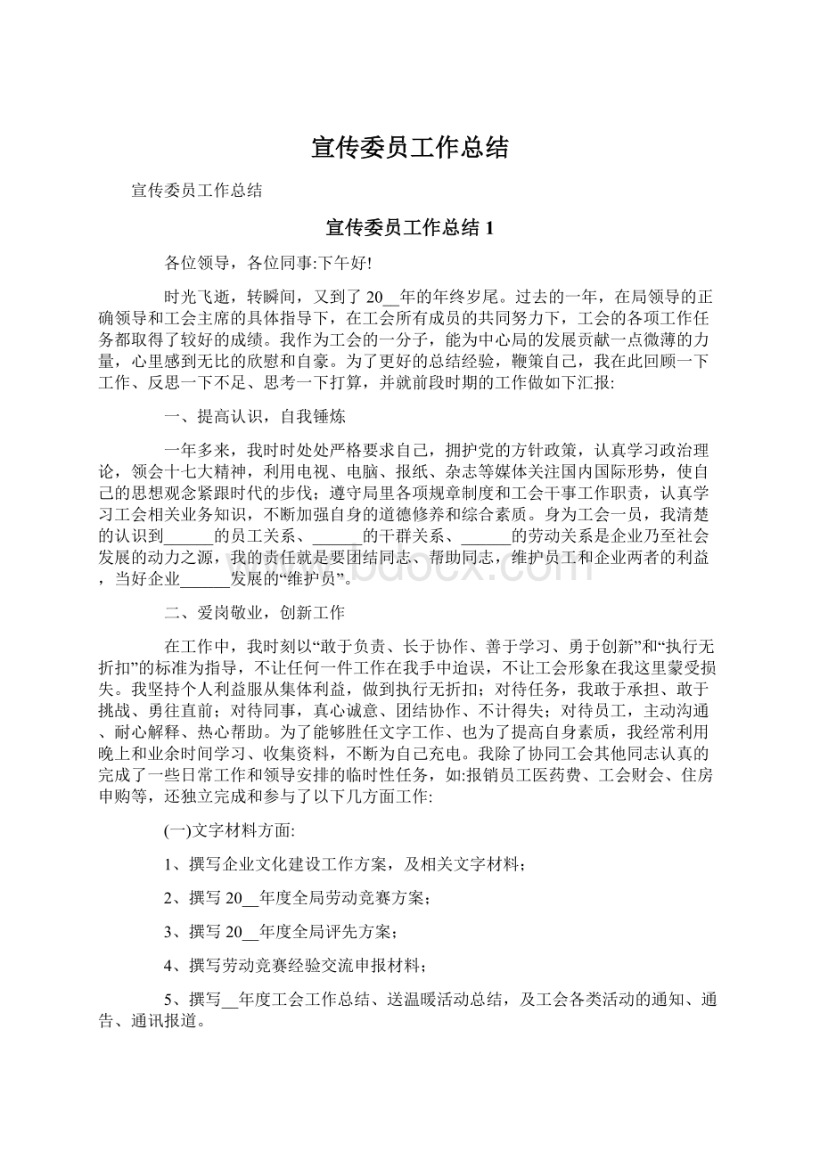 宣传委员工作总结文档格式.docx