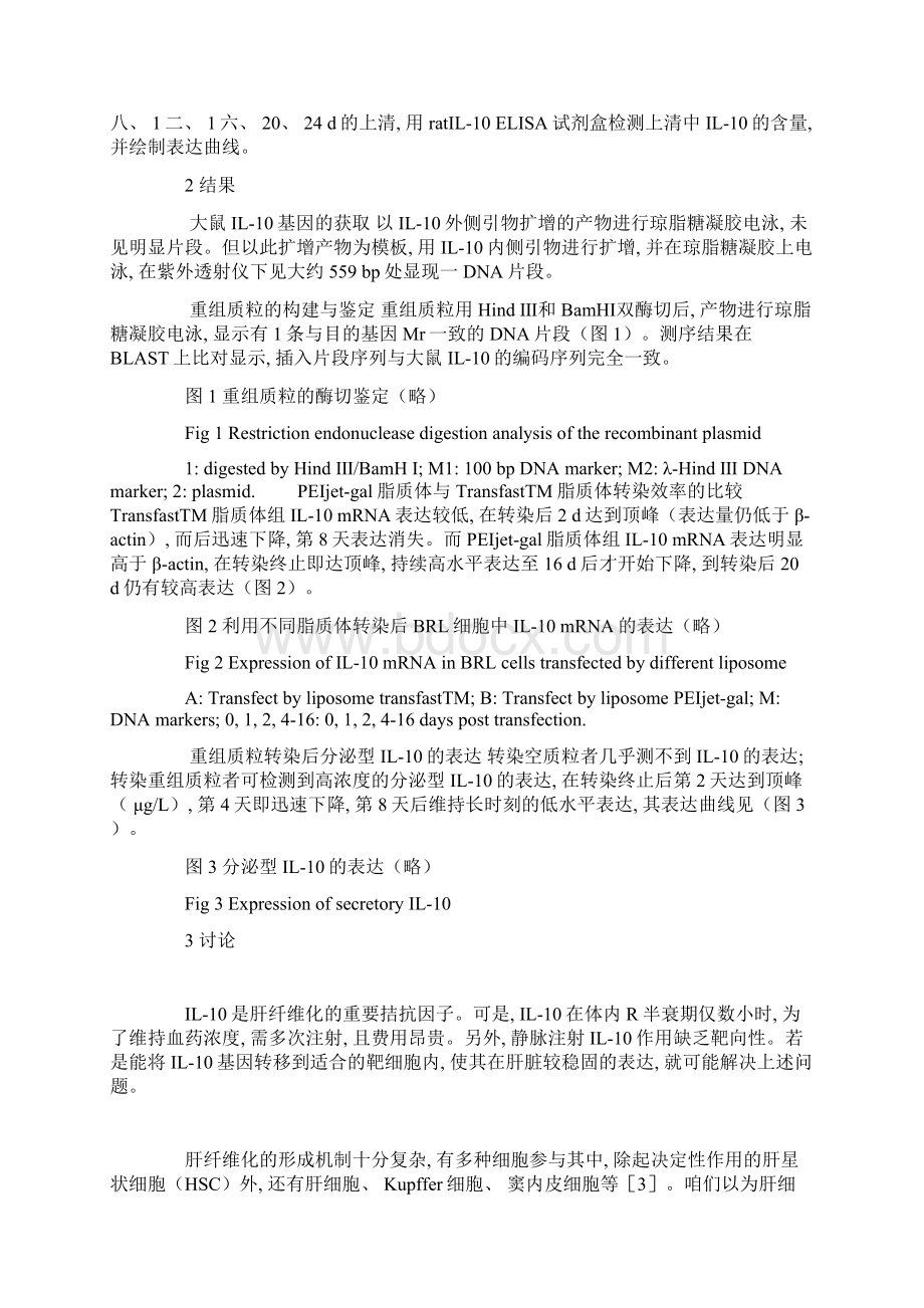 大鼠IL10基因真核表达质粒的构建及其在BRL细胞中的表达Word文档下载推荐.docx_第3页