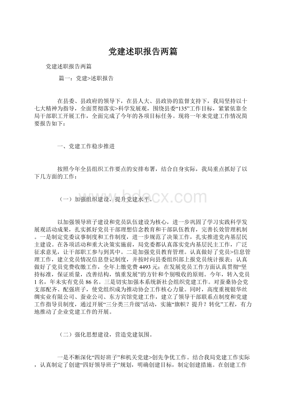 党建述职报告两篇文档格式.docx