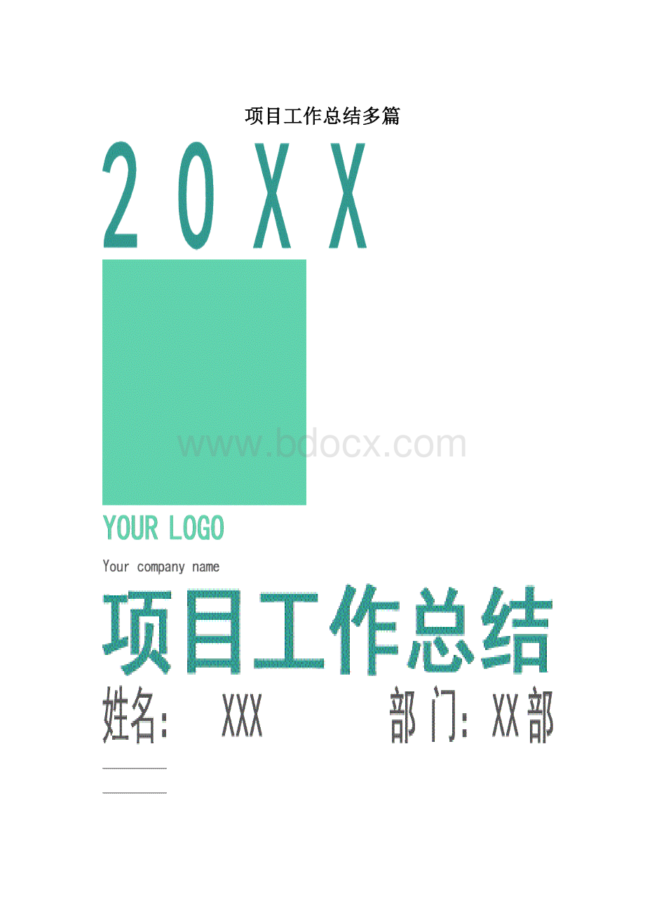 项目工作总结多篇.docx