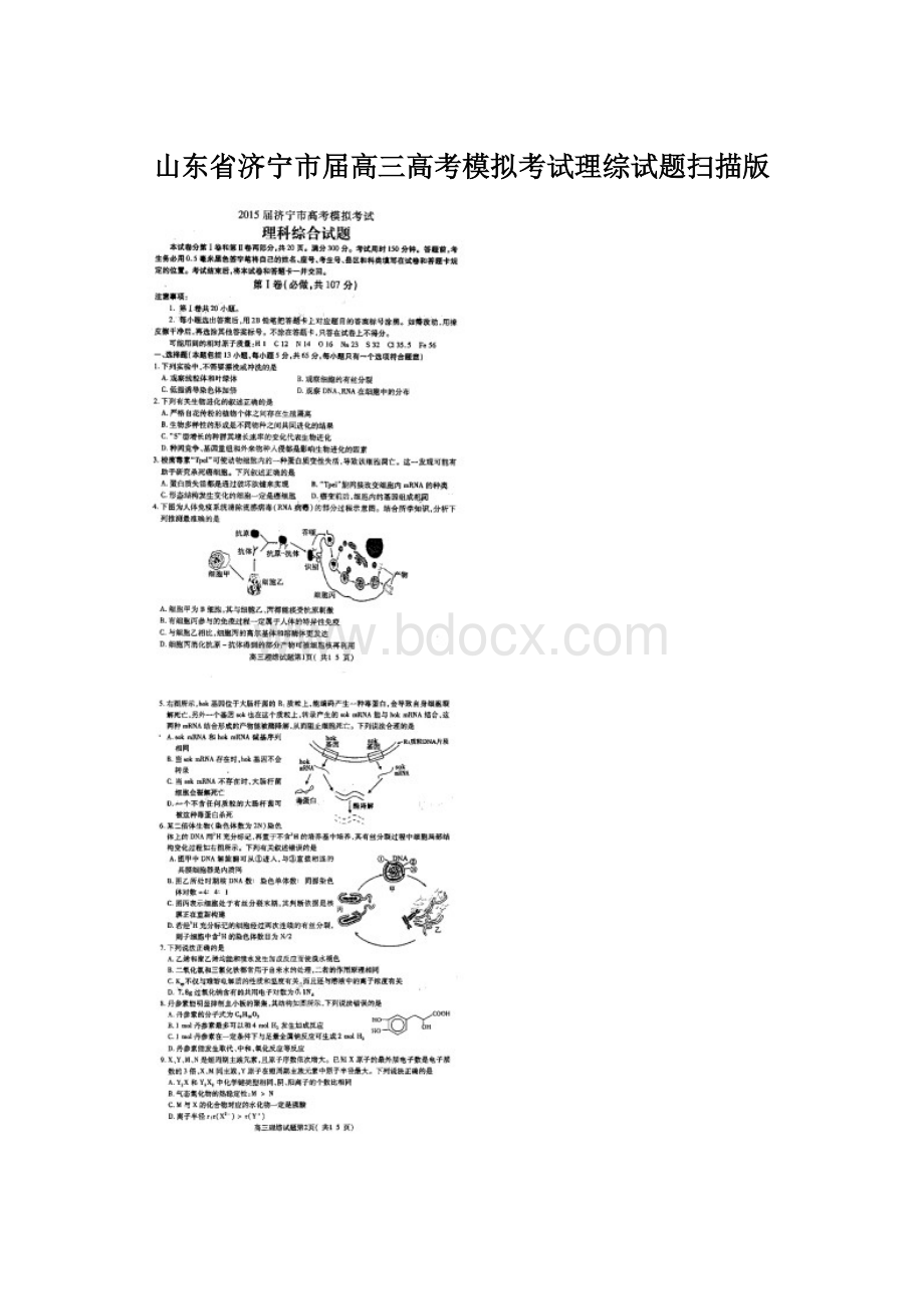 山东省济宁市届高三高考模拟考试理综试题扫描版文档格式.docx