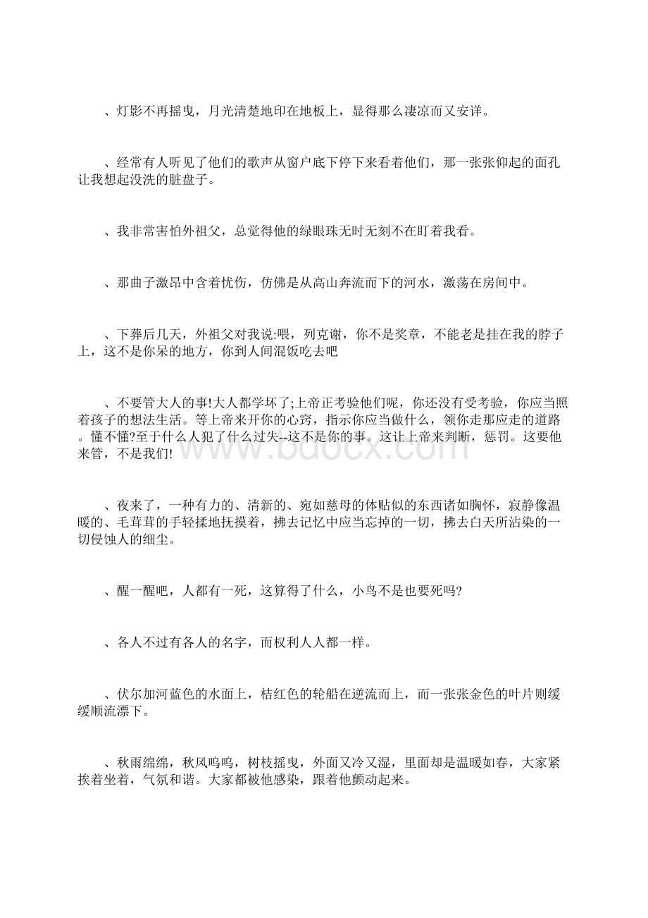 高尔基童年好词好句好段摘抄大全Word下载.docx_第2页