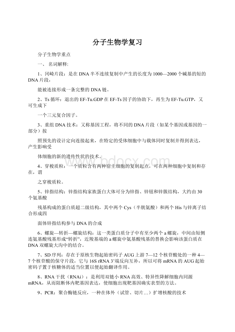 分子生物学复习Word文档格式.docx