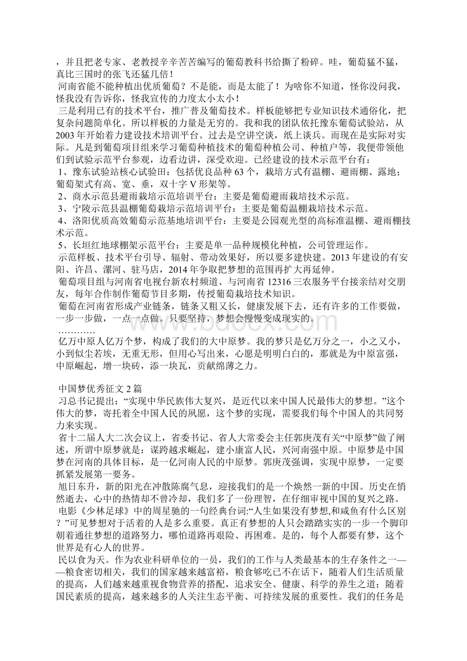 中国梦优秀征文3篇Word文件下载.docx_第3页