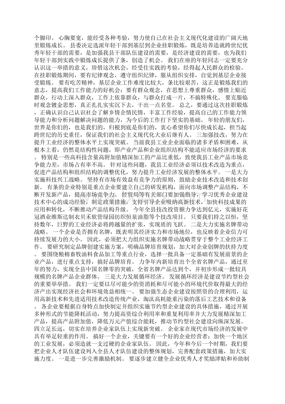 在工业经济发展工作会上的讲话.docx_第3页