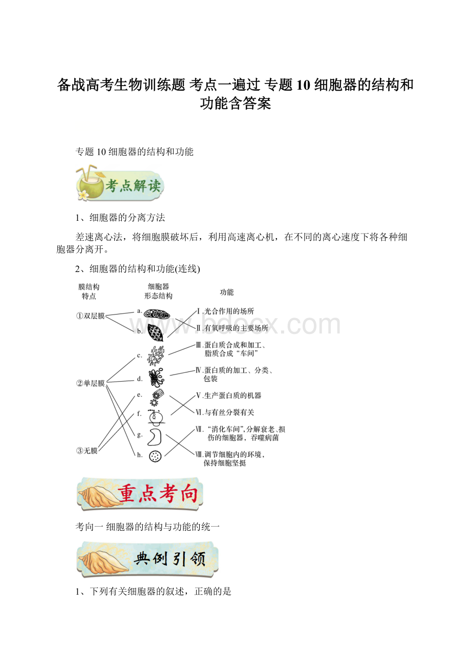 备战高考生物训练题 考点一遍过 专题10 细胞器的结构和功能含答案Word文件下载.docx