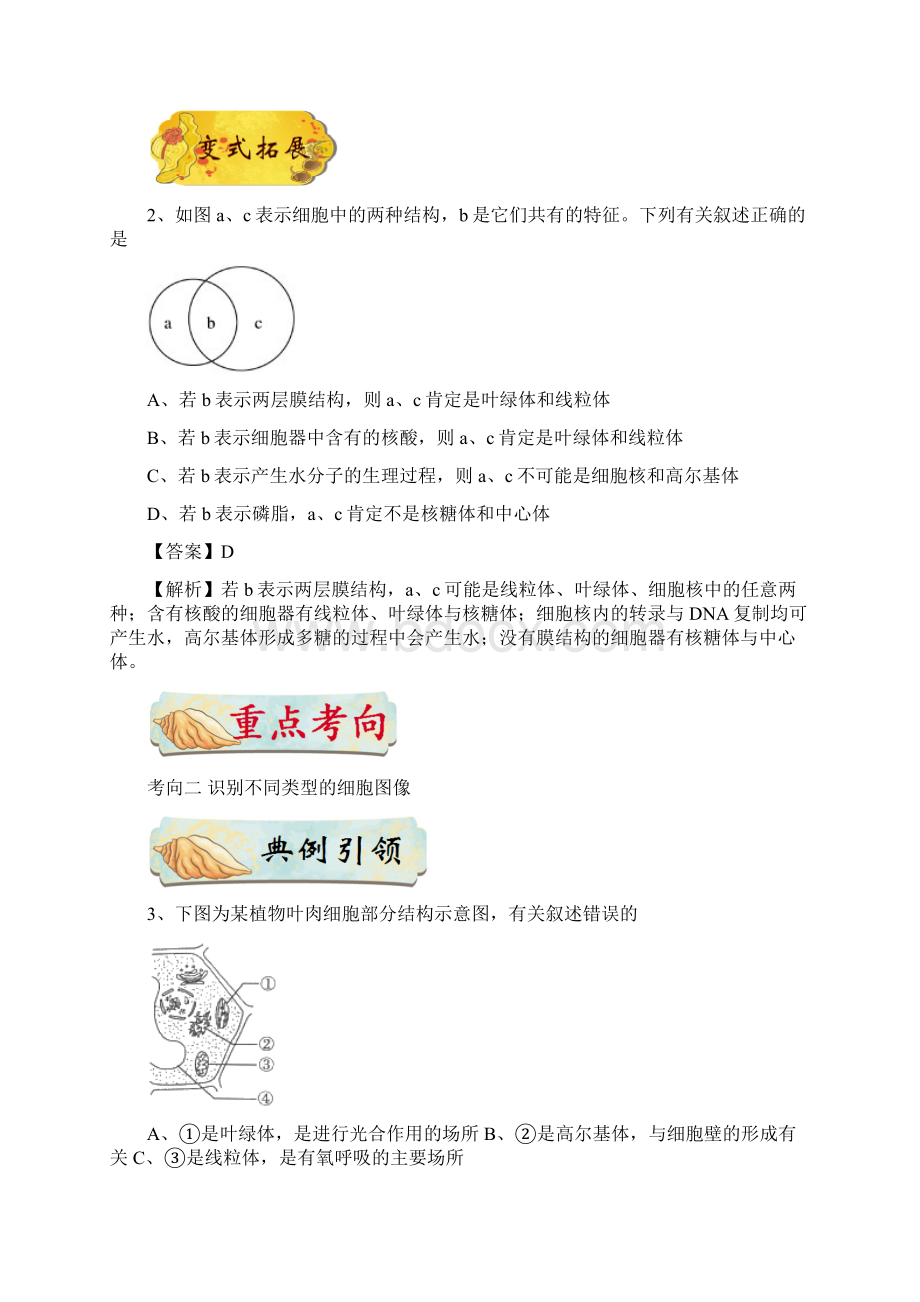 备战高考生物训练题 考点一遍过 专题10 细胞器的结构和功能含答案.docx_第3页