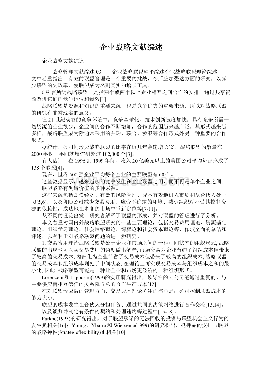 企业战略文献综述.docx_第1页