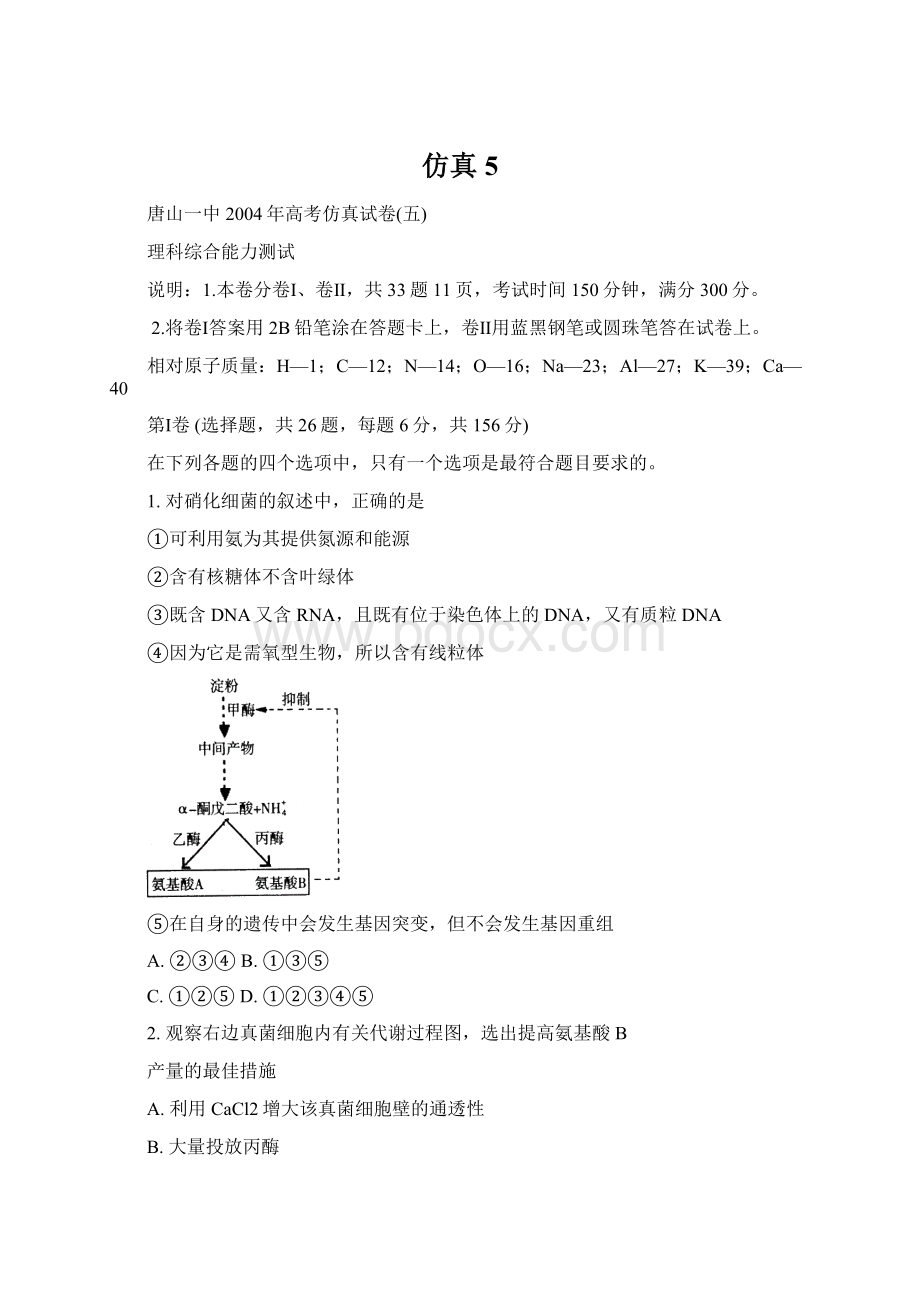 仿真5Word文档下载推荐.docx