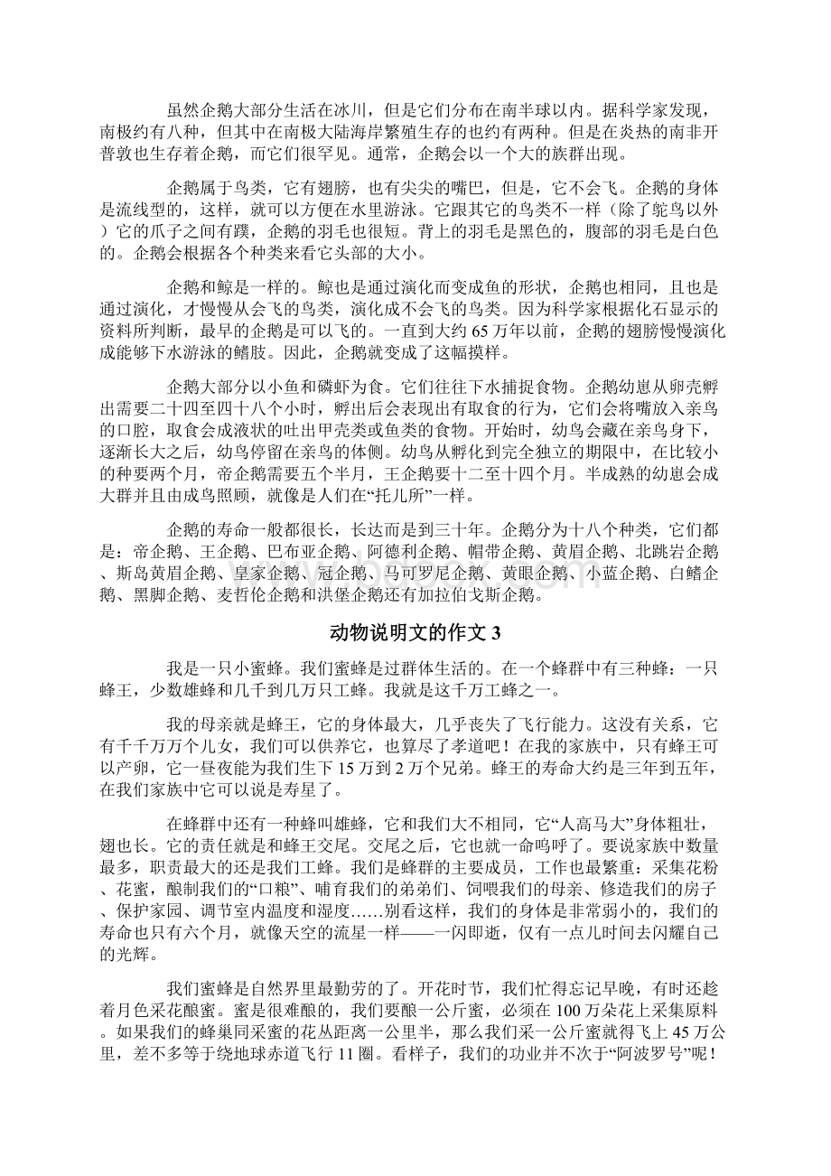 动物说明文的作文10篇.docx_第2页