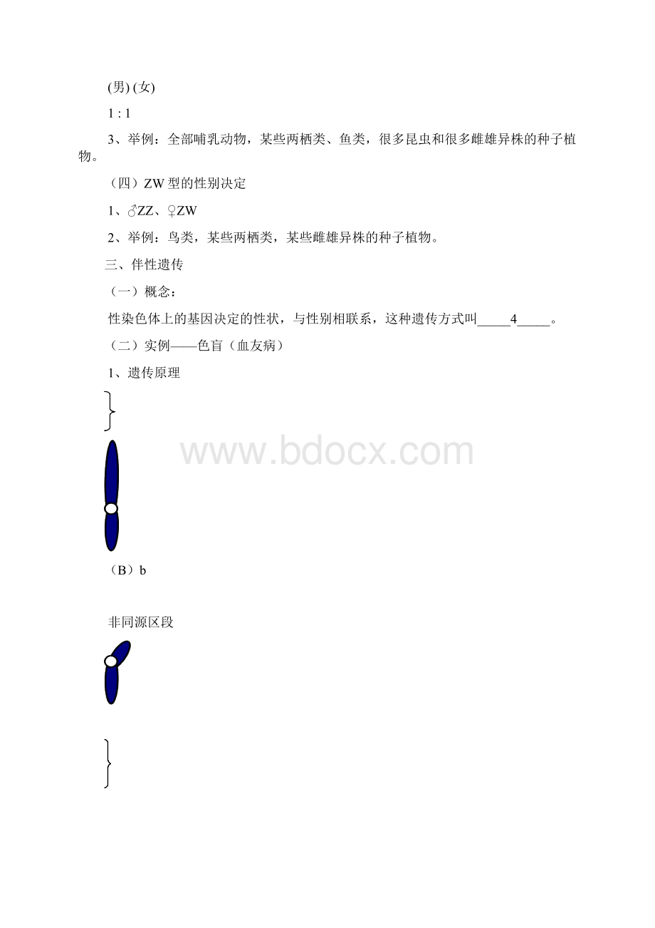 第二节 二中 伴性遗传复习资料.docx_第3页