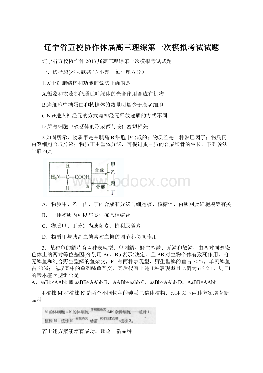 辽宁省五校协作体届高三理综第一次模拟考试试题文档格式.docx