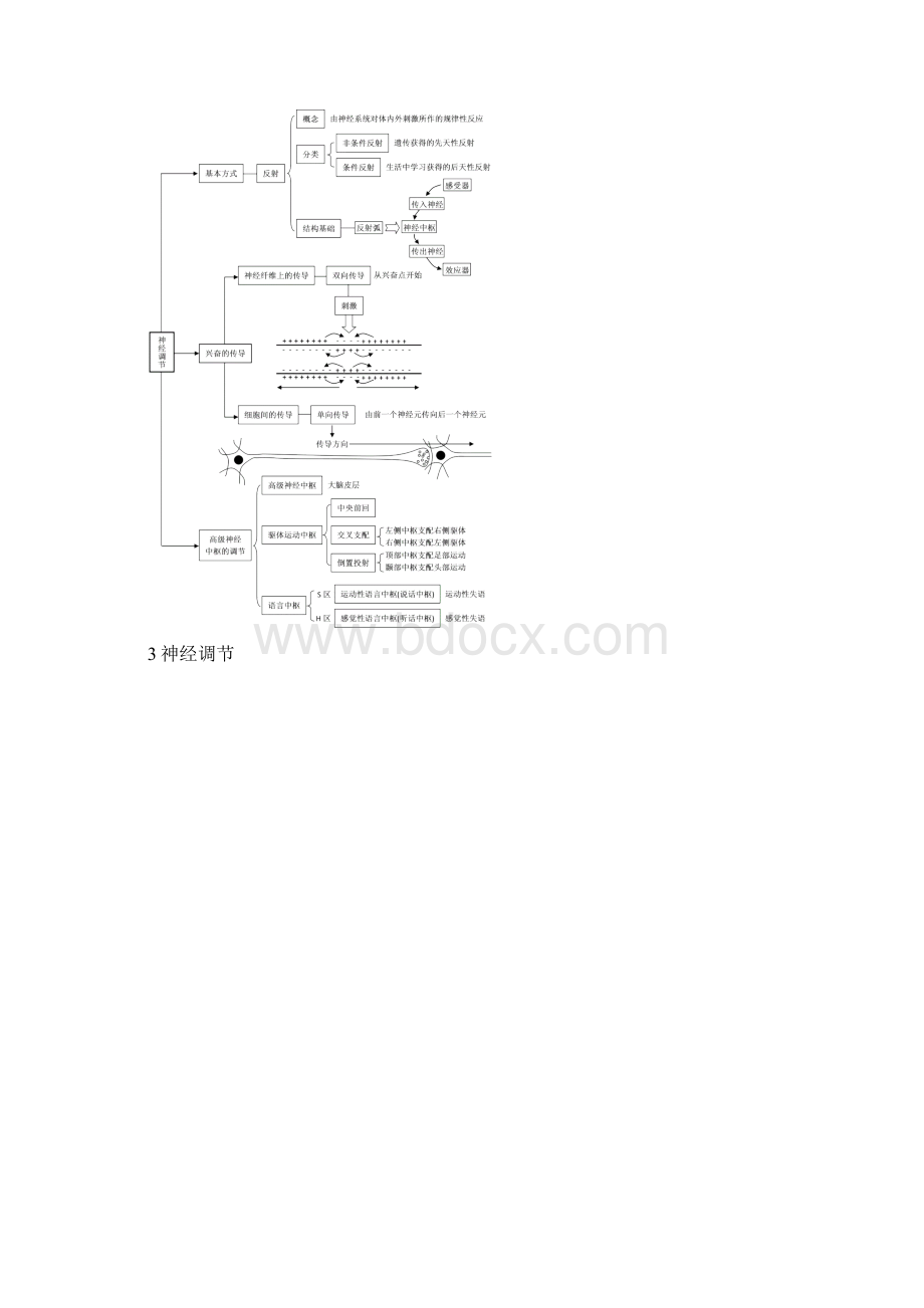 人教版生物必修三稳态与环境高考总复习归纳与总结Word格式.docx_第3页