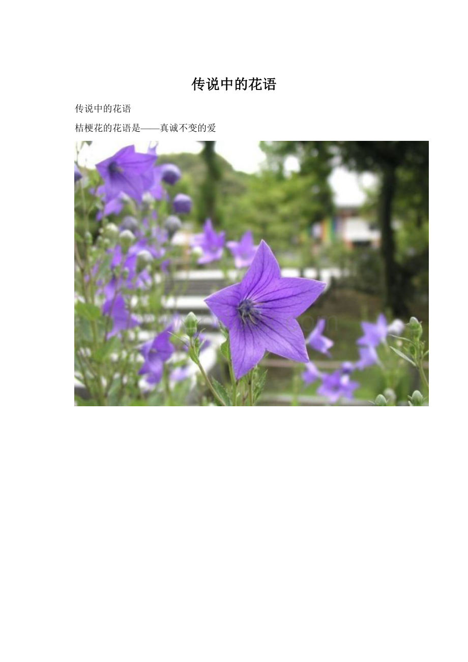 传说中的花语.docx_第1页