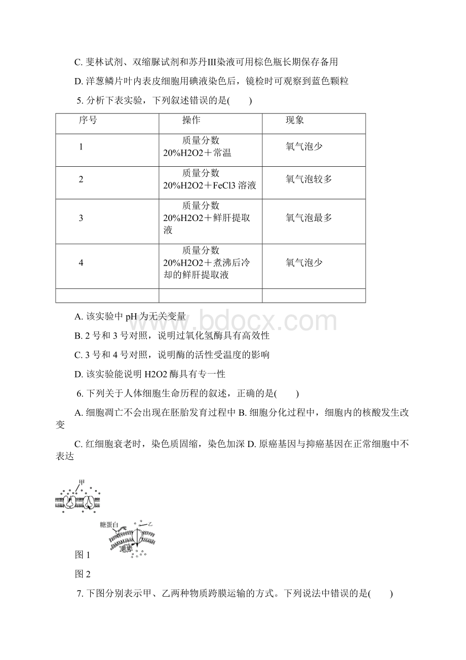 江苏省南京师大苏州实验学校届高三生物上学期第二次模拟考试试题.docx_第2页