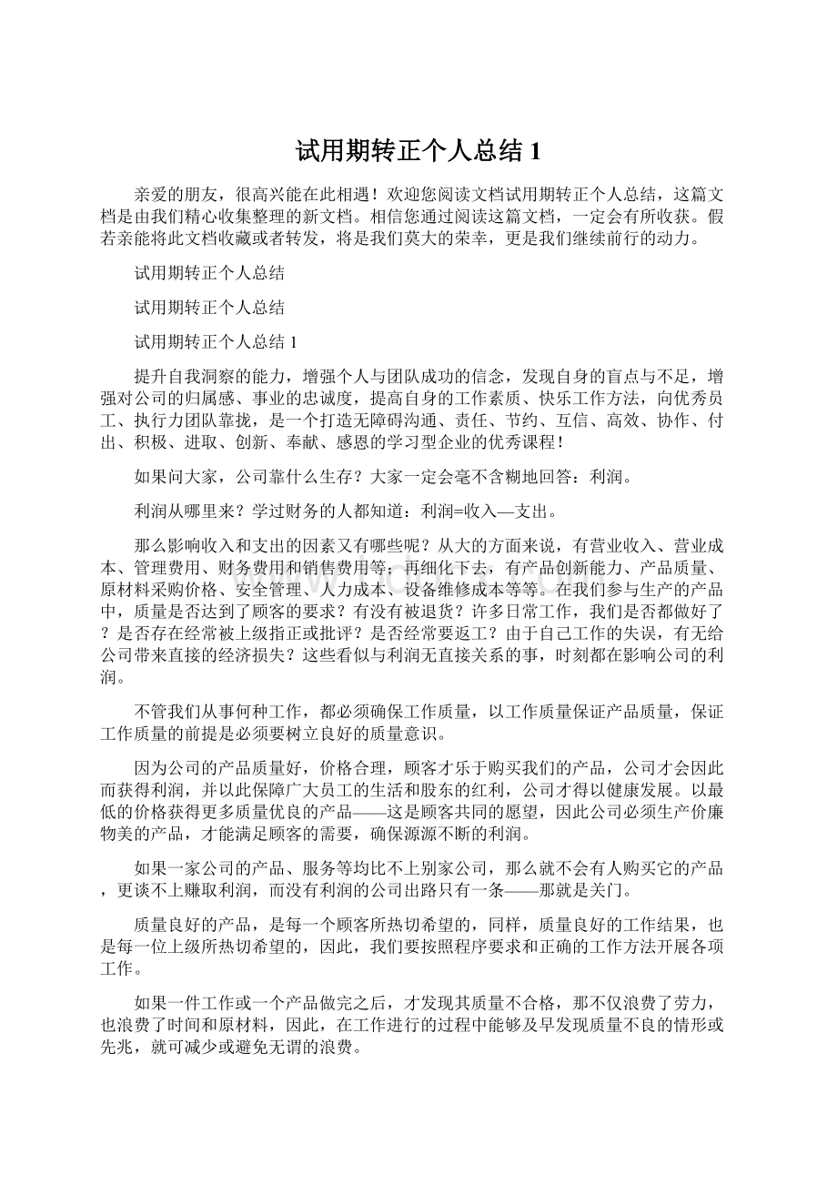 试用期转正个人总结1Word格式文档下载.docx_第1页