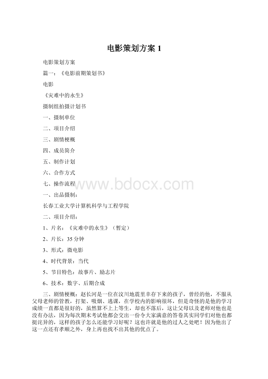 电影策划方案1.docx