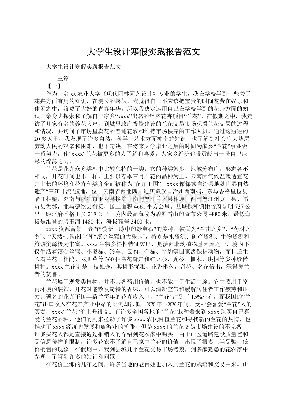 大学生设计寒假实践报告范文文档格式.docx