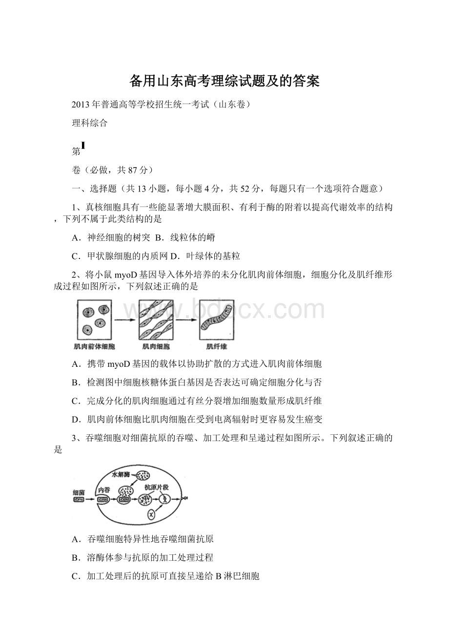 备用山东高考理综试题及的答案.docx_第1页