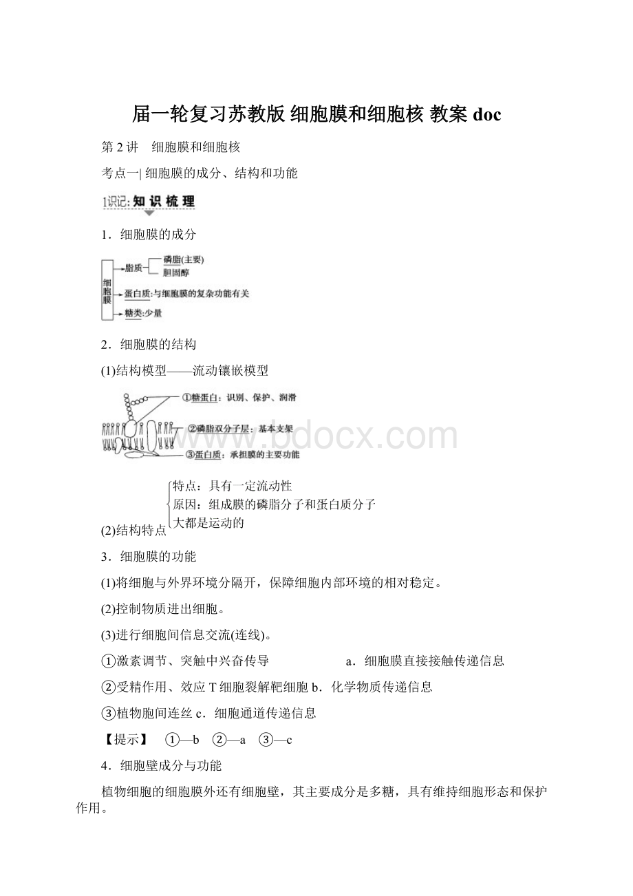 届一轮复习苏教版 细胞膜和细胞核 教案docWord格式文档下载.docx