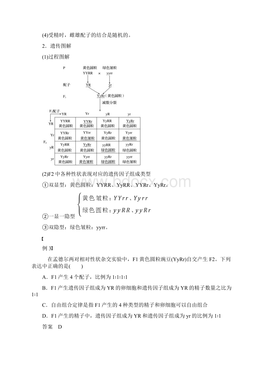 学年高中生物 第1章 遗传因子的发现 第2节 孟德尔的豌豆杂交实验二第1课文档格式.docx_第3页