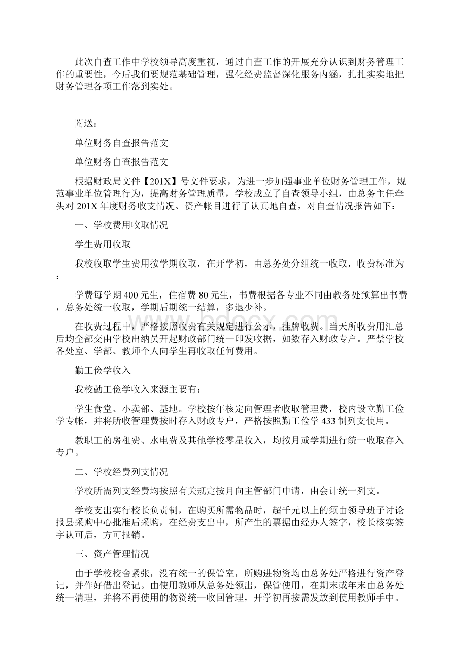 单位财务自查报告.docx_第3页