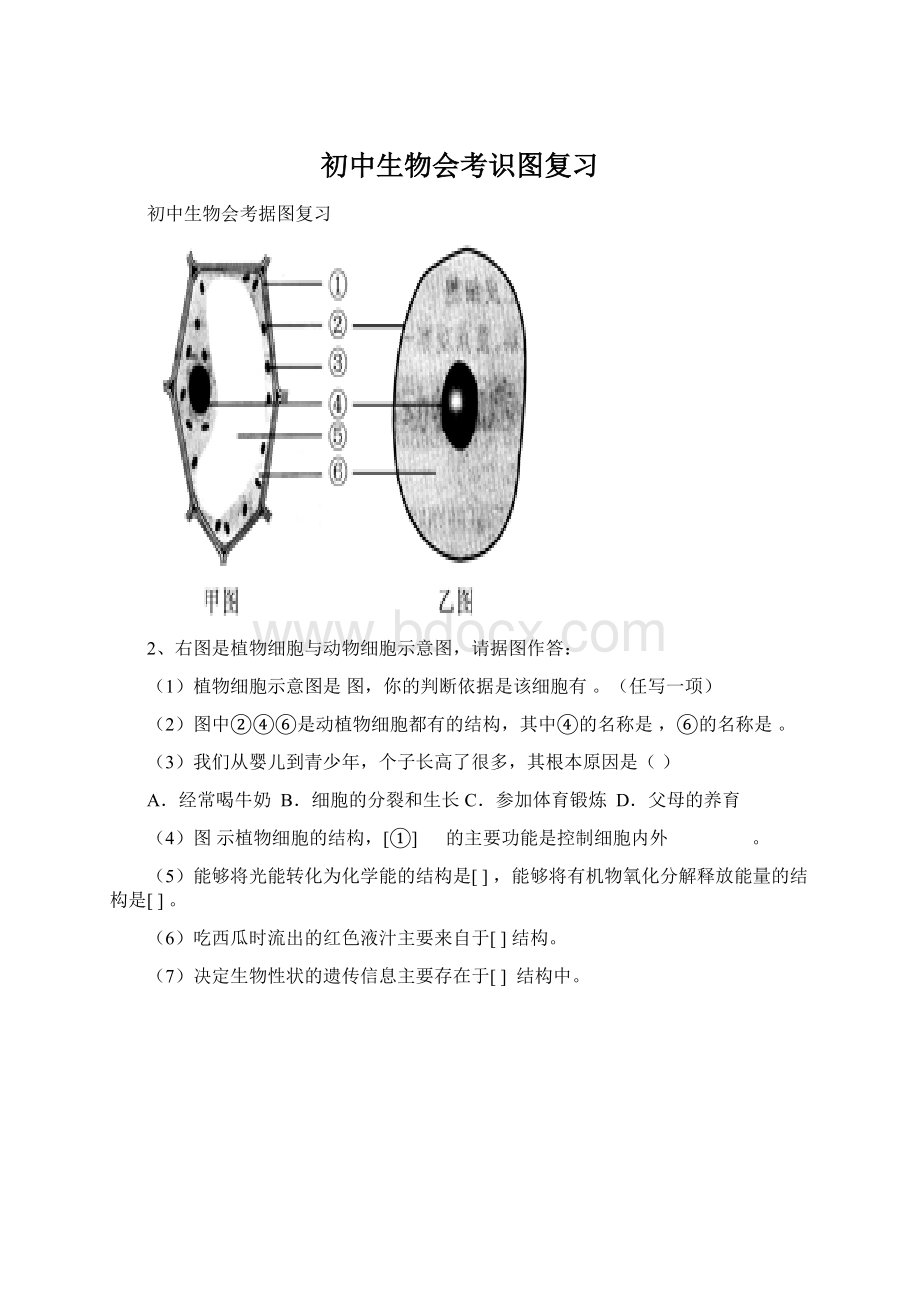 初中生物会考识图复习Word下载.docx