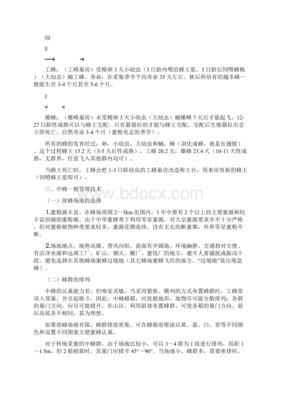 中蜂养殖技术.docx_第2页