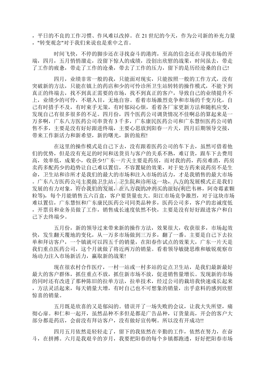 药品销售工作总结范文4篇Word文件下载.docx_第2页