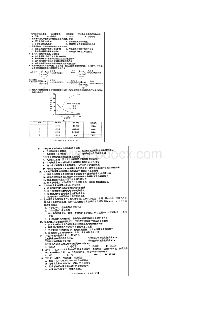 届河南省八校高三上学期第一次联考生物试题及答案文档格式.docx_第2页