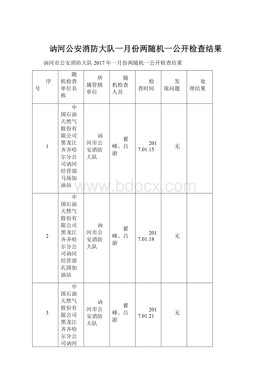 讷河公安消防大队一月份两随机一公开检查结果.docx