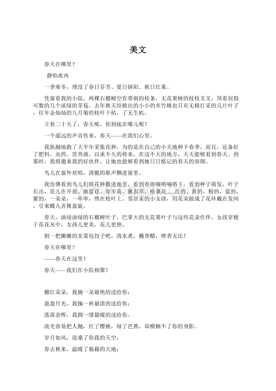 美文文档格式.docx