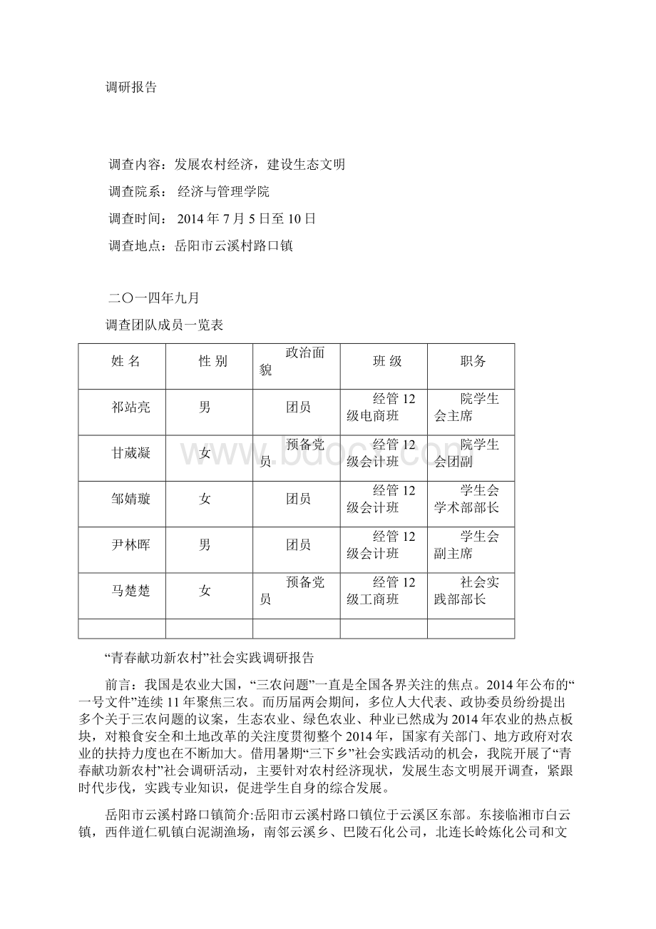 青春献功新农村调研报告范文.docx_第2页