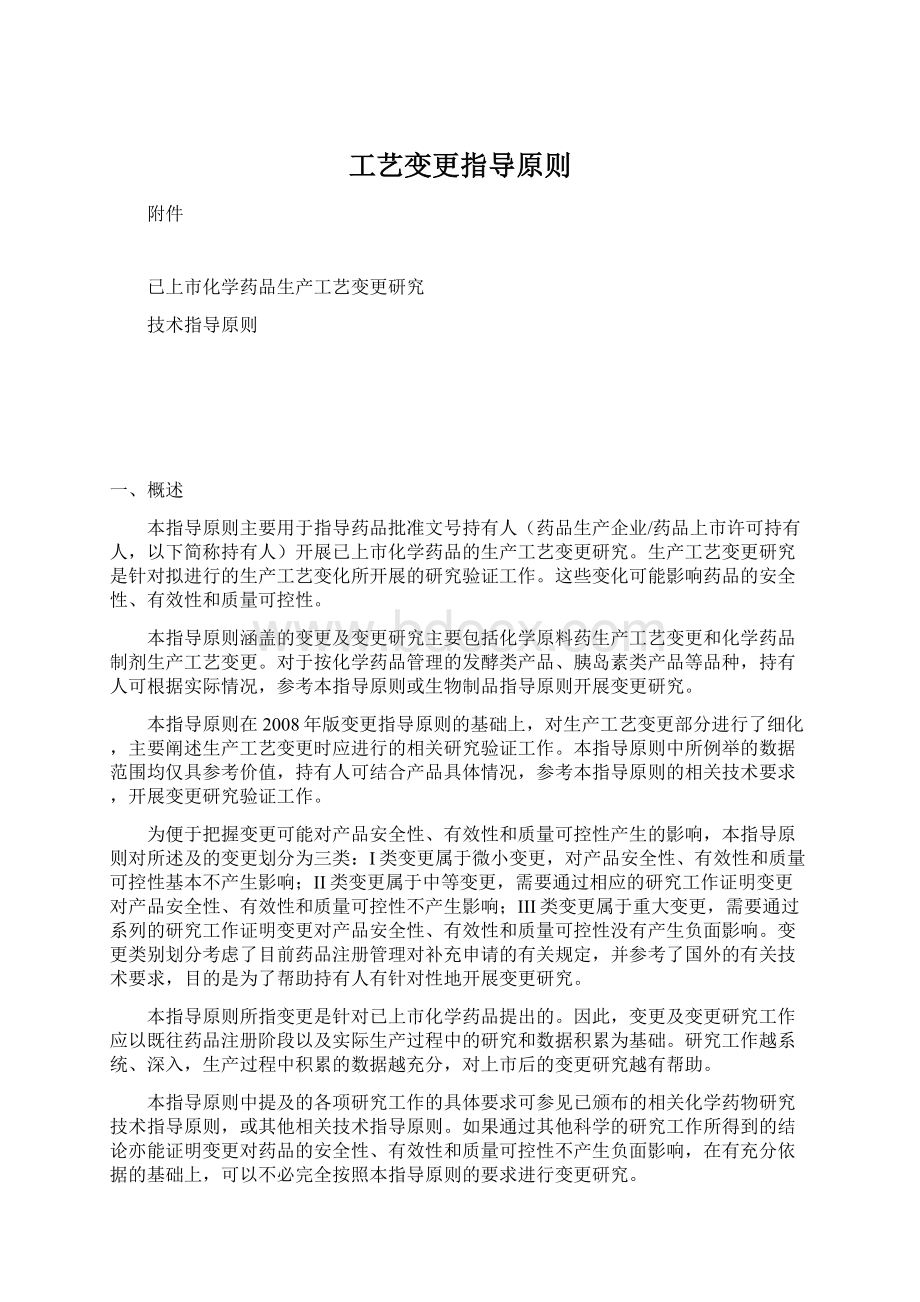 工艺变更指导原则文档格式.docx