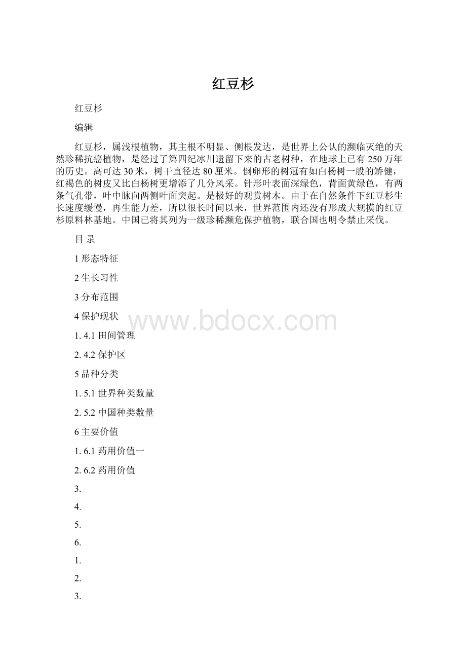 红豆杉Word格式.docx_第1页