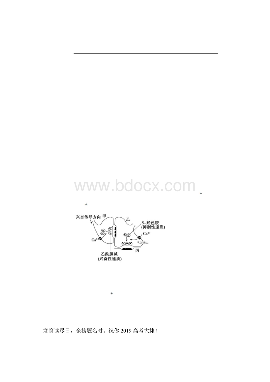 高考理综生物仿真模拟卷3.docx_第2页