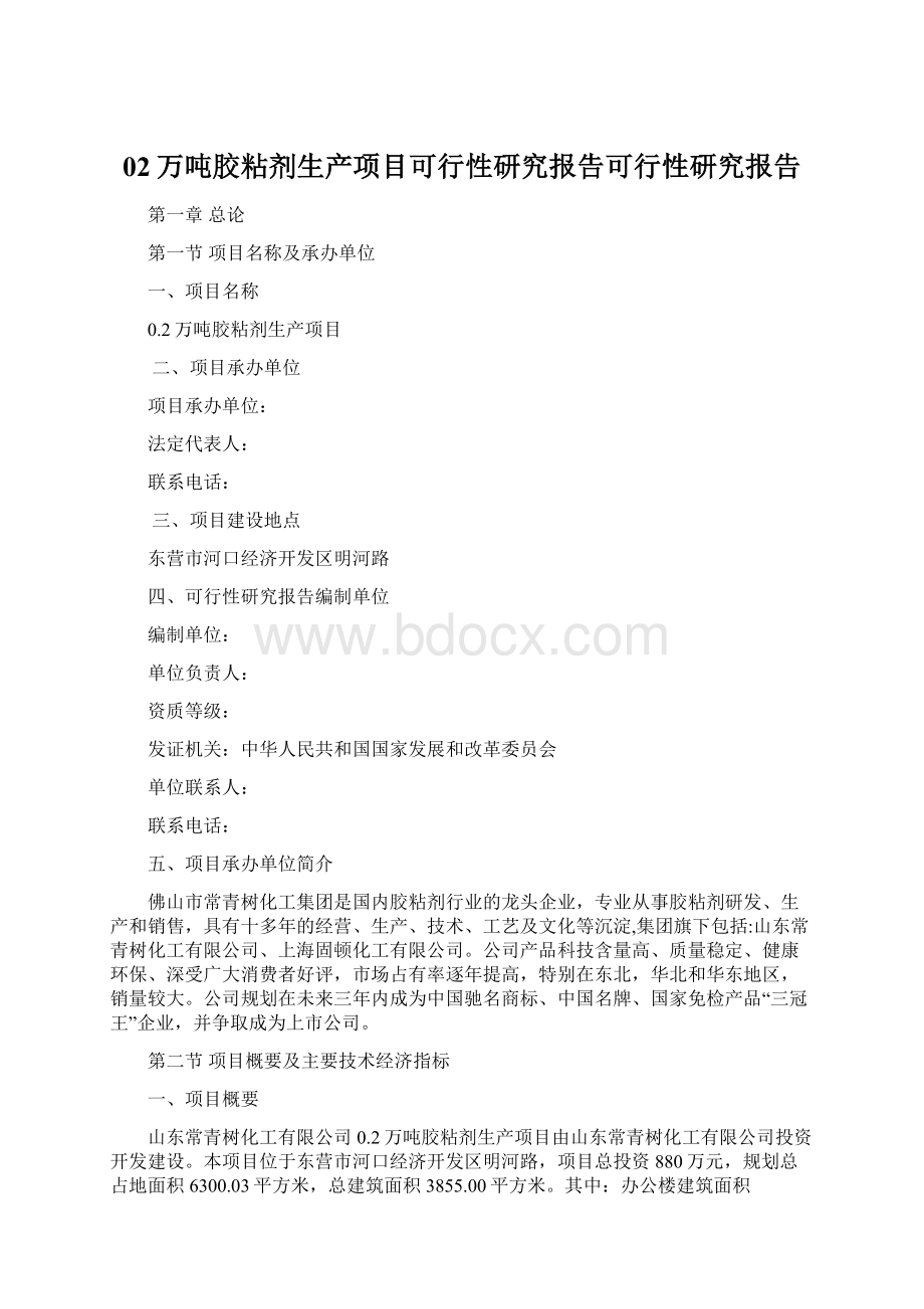 02万吨胶粘剂生产项目可行性研究报告可行性研究报告Word格式.docx